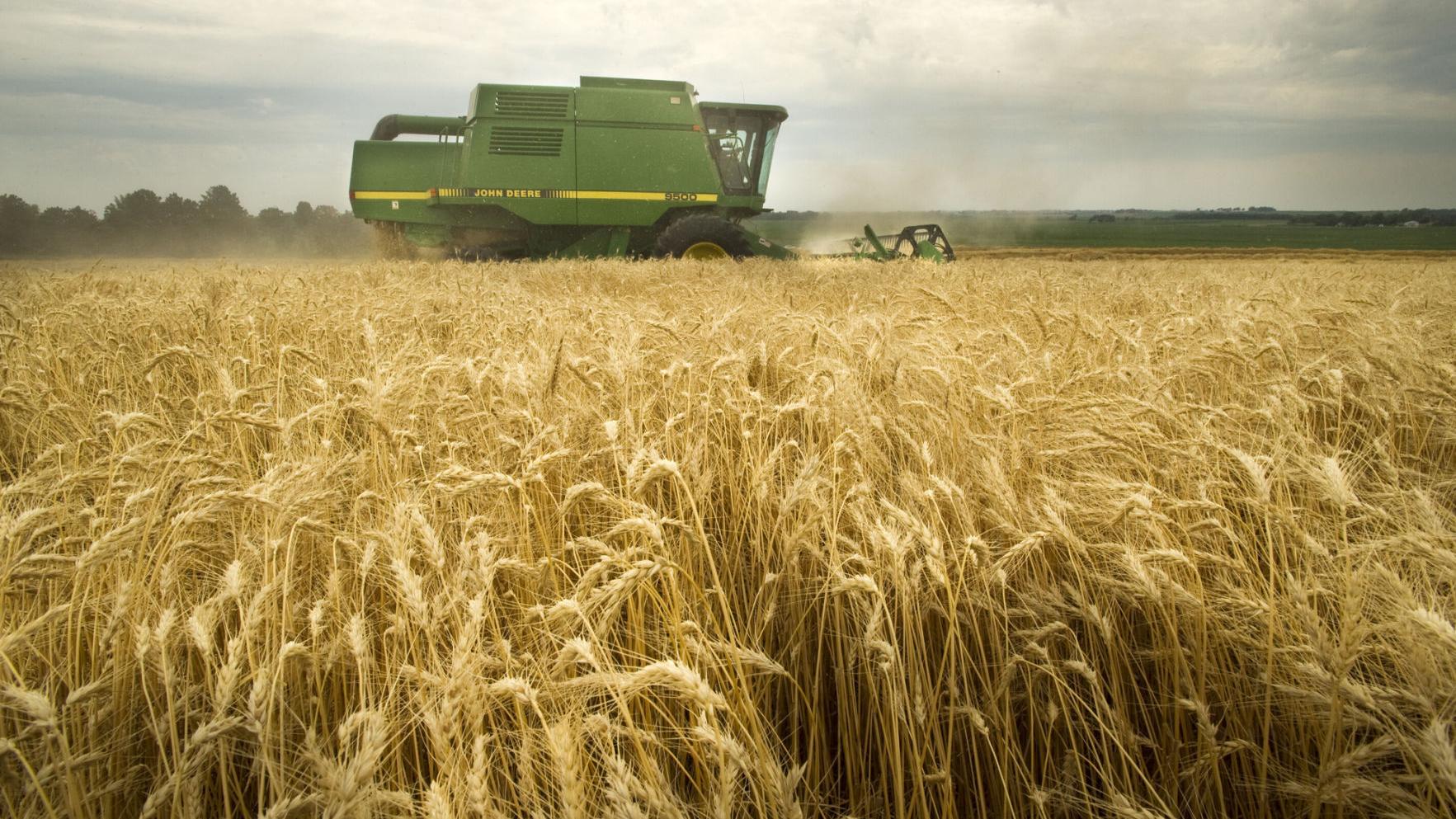 Proposed border tax could hit Nebraska ag sector hard, report finds